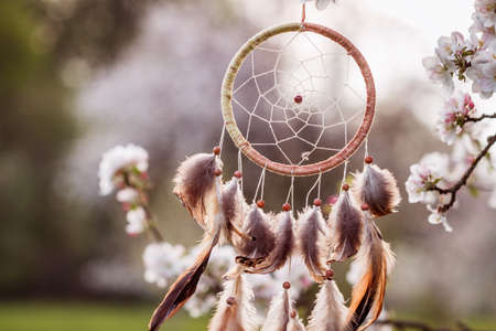 Dreamcatcher hanging on blooming tree in wind at springtime. Magical and ritual ornament for good dreamingの写真素材