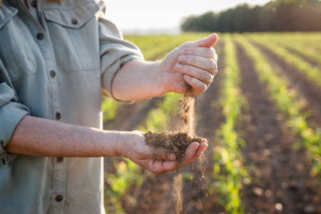 Drought in agricultural field. Farmer holding dry soil in hands and quality control of fertility at arid climate. Farming and cultivated landの写真素材