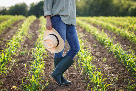 Woman farmer with rubber boot and straw hat standing in agricultural corn fieldの写真素材