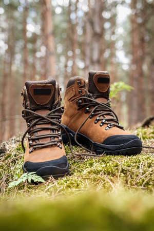 Hiking boot in forest. Brown waterproof leather ankle boots. Sports shoeの写真素材
