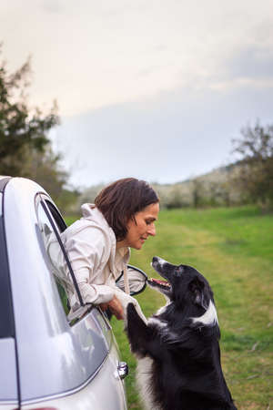 Dog welcome her pet owner returning from road trip at home. Woman with border collie at carの写真素材