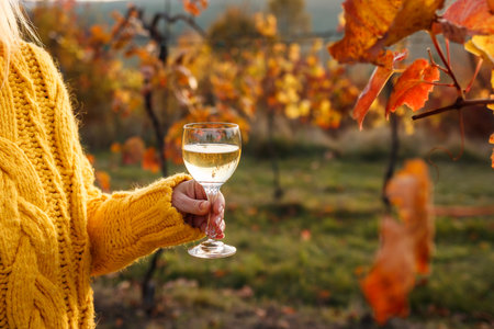 Vintner enjoying white wine in her vineyard at autumn. Woman wearing yellow knitted sweater in wineryの写真素材