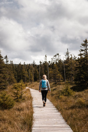 Woman tourist with backpack hiking on wooden footpath in autumn mountains forestの写真素材