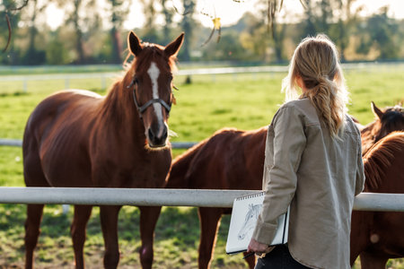 Woman holding sketchbook with pencil drawing. Artist relaxing with horses on pasture. Leisure activity outdoorsの写真素材