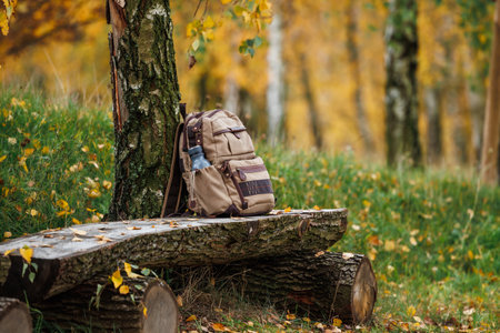 Backpack on wooden log bench in autumn forest with birch trees. Hiking equipmentの写真素材