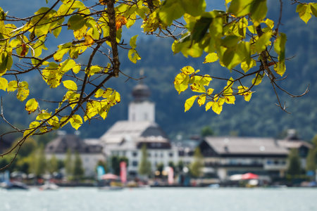Leaves on branch, defocused alps village in distance. Strobl town at Wolfgangsee lake, Salzkammergut, Austriaの写真素材