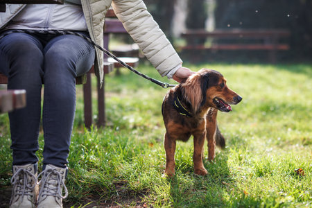 Pet owner with her dog resting in outdoor restaurant. Relaxation with animal best friendの写真素材
