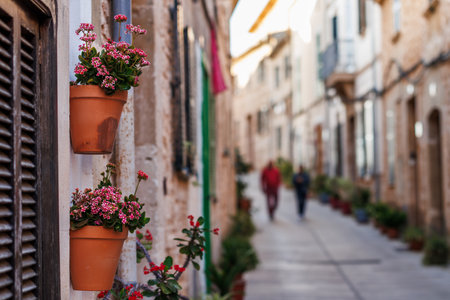Alcudia street. Kalanchoe in flower pot as decoration in tourist resort. Traditional old town in Majorca, Spainの写真素材