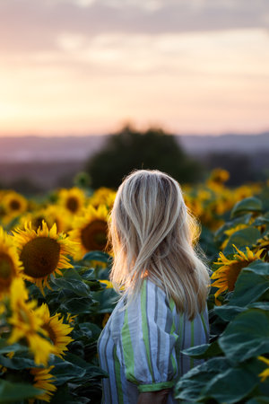 Woman wearing summer dress and standing in sunflower field during sunsetの写真素材