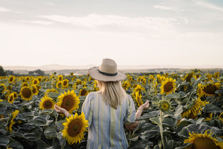 Woman wearing dress and straw hat and standing in sunflower field. Hot summer day weather at countrysideの写真素材