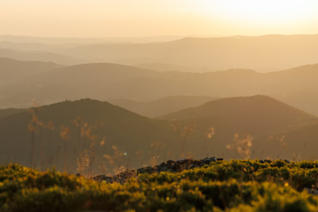 Mountain range at sunset. Natural parkland Jeseniky in Czechia. Wilderness areaの写真素材