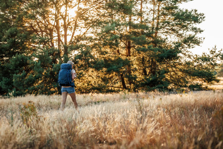 Woman with backpack hiking in forest during sunset. Trekking in wilderness alone. Summer adventure in natureの写真素材
