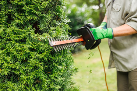 Woman gardener cutting thuja by electric hedge trimmer in garden. Trimming bush at backyardの写真素材