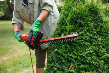 Woman gardener trimming overgrown bush by electric hedge trimmer