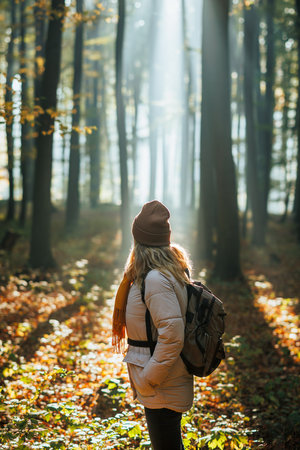 Hiking in nature. Woman with backpack walks in autumn forest with sunlight shining through trees. Atmospheric mood in cold foggy morningの写真素材