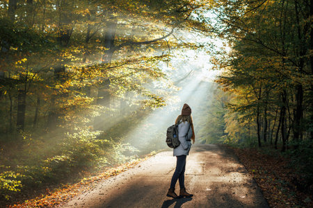 Woman with backpack walks on road in autumn forest with sunlight shining through trees. Atmospheric mood in cold foggy morning. Hiking in natureの写真素材