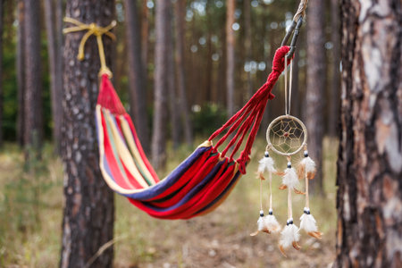 Hammock and dreamcatcher hanging between trees in forestの写真素材