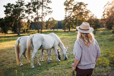 Female rancher with hat looking at white horses on pasture during sunsetの写真素材