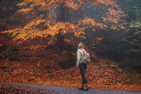Woman with backpack hiking in misty autumn forest. Adventure in natureの写真素材