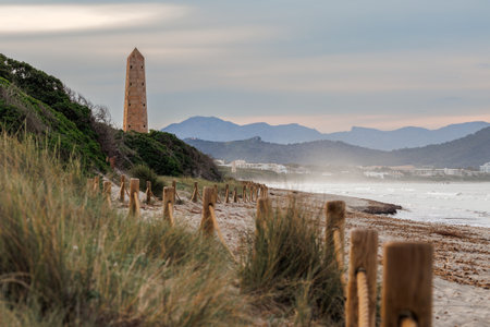 Beach Playa del Muro with Alcudia pins tower in Mallorca, Balearic islands, Spain. Travel destination between Alcudia and Can Picafortの写真素材