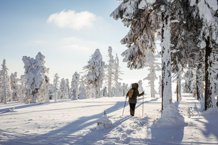 Hiking in snowy mountain forest. Woman with backpack and winter coat walking in deep snow. Adventure in natureの写真素材