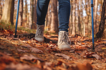 Hiking boots and walking poles. Legs walks in autumn forest trekking trailの写真素材