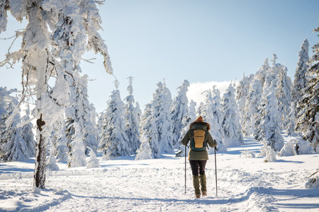 Woman with backpack and walking poles is hiking in winter mountain trail. Walk in snow in natureの写真素材