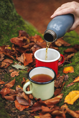 Refreshment during hiking outdoors. Hiker is pouring hot drink tea from flask into travel mug in autumn forestの写真素材