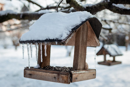 Wooden bird feeder with snow covered and frozen icicles hanging on a tree in winterの写真素材