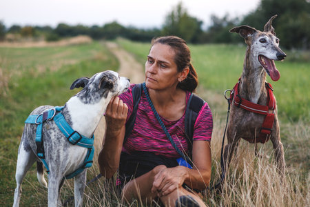 Woman resting with her dogs during dog walking outdoors. Pet owner or animal trainer doing obedience training with Spanish greyhound and whippetの写真素材