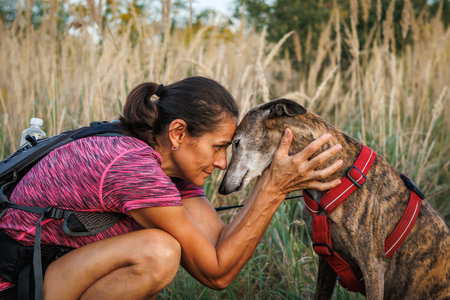 Woman is embracing her old dog with love. Pet owner and Spanish greyhoundの写真素材