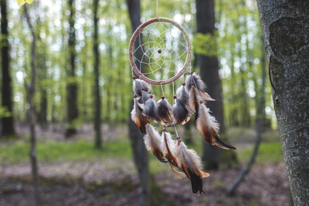 Dreamcatcher hanging on tree in wind in forest. Spirituality and ritual ornament for good dreamingの写真素材