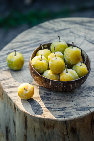 Greengage in bowl. Fresh harvested fruit. Ripe green plumsの写真素材