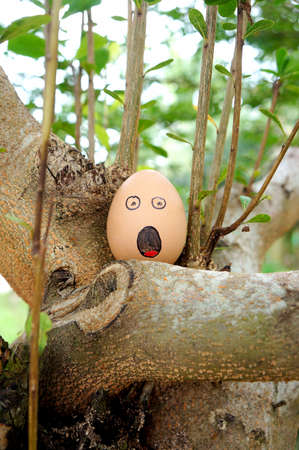 Expression egg character on the tree. shocked faceの写真素材