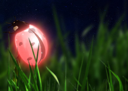 Ladybug in the grass at night. 3d rendering. Computer digital drawing.の写真素材