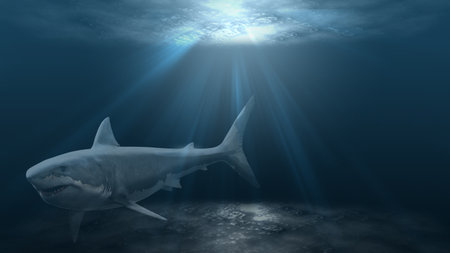 sharks in the deep sea dark styleの写真素材