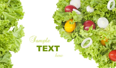 Fresh salad over white with text sample の写真素材