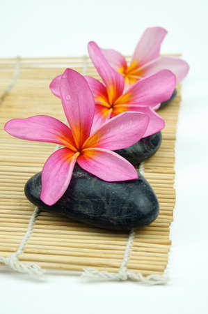 Pink Frangipani on pebble and bamboo mat isoalted on white backgroundの写真素材