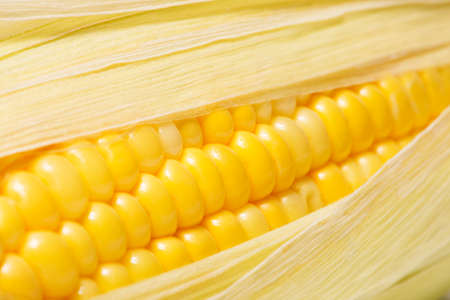 Close up Sweet Corn