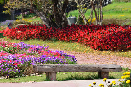 The annual flower festival is held in Chiang Rai, Thailand.の写真素材