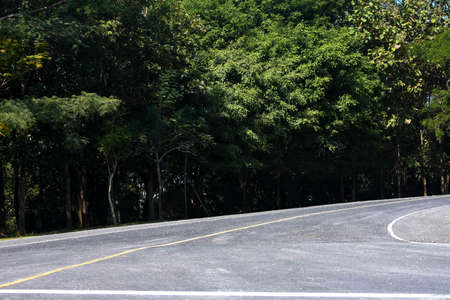 Road within a university in Thailand.の写真素材