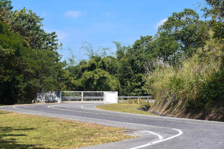 Road within a university in Thailand.