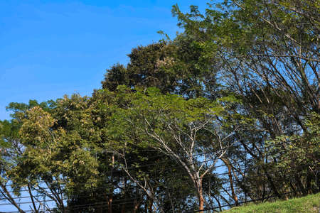 Sky atmosphere in winter Thailand