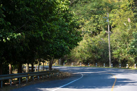 Road within a university in Thailand.の写真素材