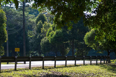 Road within a university in Thailand.の写真素材