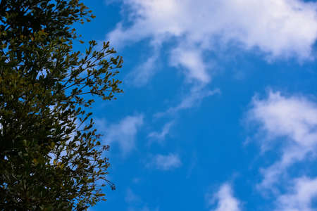 Sky atmosphere in winter Thailandの写真素材