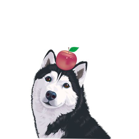 colorful vector portraits of dog breeds. isolated on white backgroundのイラスト素材