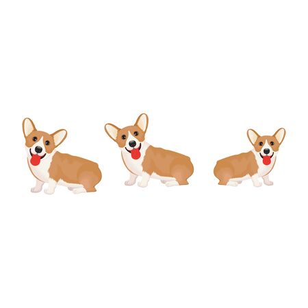 colorful vector portraits of dog breeds. isolated on white backgroundのイラスト素材