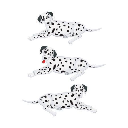 colorful vector portraits of dog breeds. isolated on white backgroundのイラスト素材
