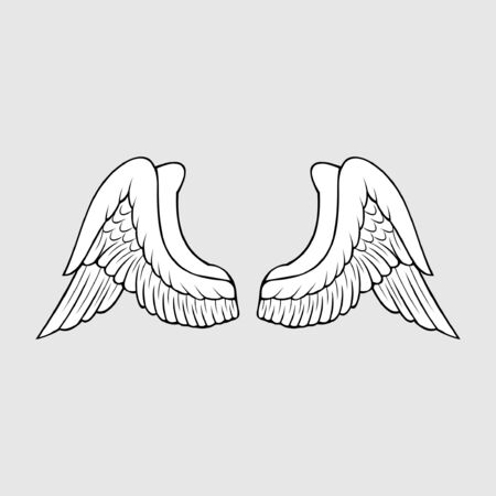 vector wings isolated on grey backgroundのイラスト素材